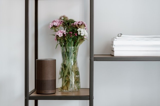 Amazon Alexa At Home