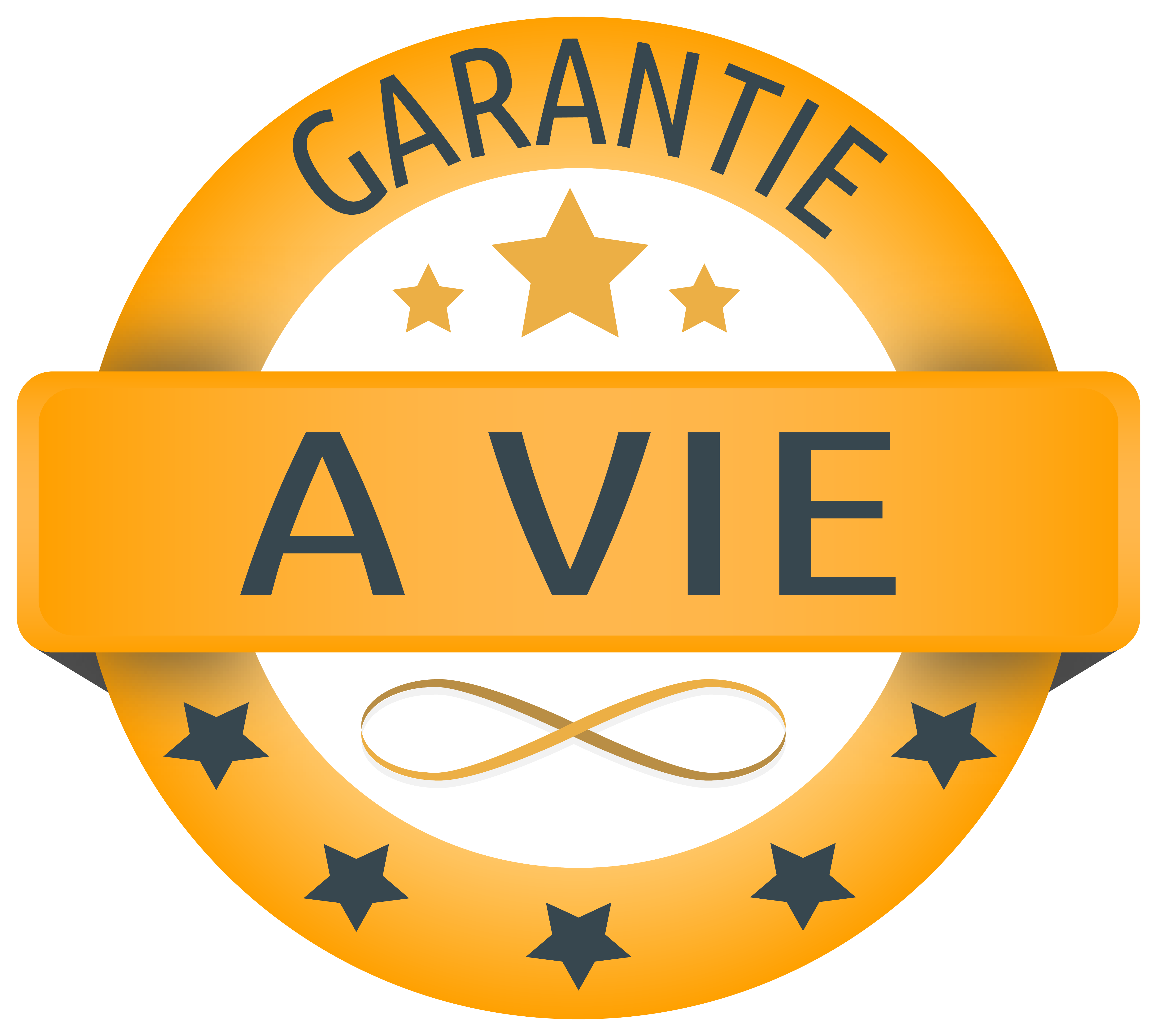 Garantie A Vie Monte Escaliers